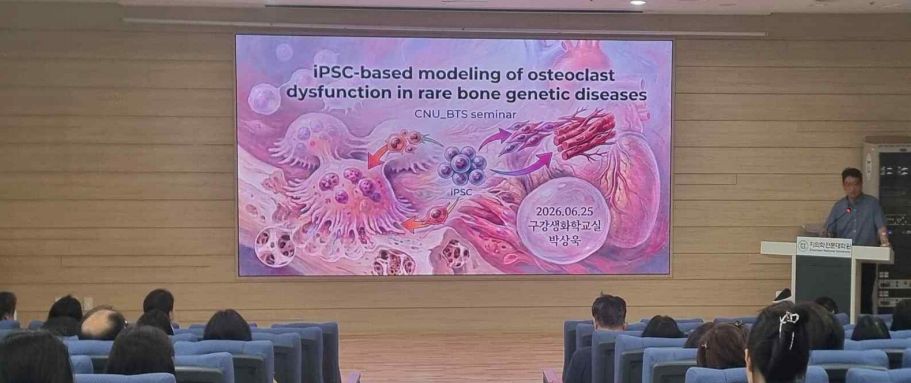 그림입니다.  원본 그림의 이름: CLP00003e640008.bmp  원본 그림의 크기: 가로 911pixel, 세로 383pixel