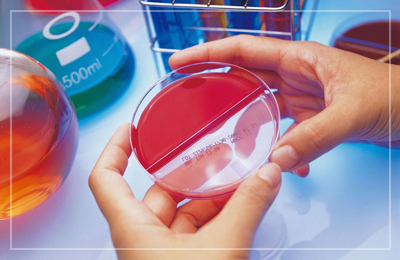 건축과학연구소