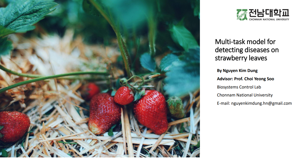 [세미나]  Multi-task model for detecting diseases on strawberry leaves 대표이미지