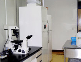 cell culture room