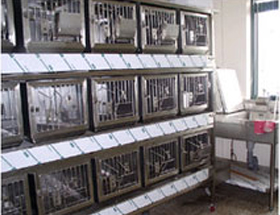 Animal breeding room