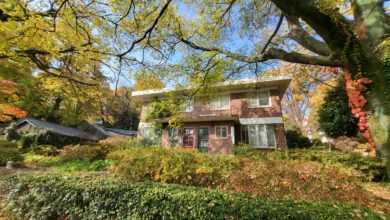 양림동의 가을  대표이미지