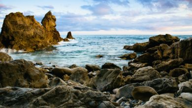 차를 권하는 도시 대표이미지