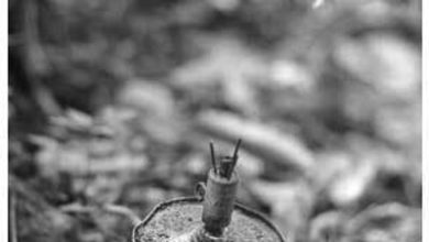 내가 만난 역사, 내게 남은 기억 대표이미지