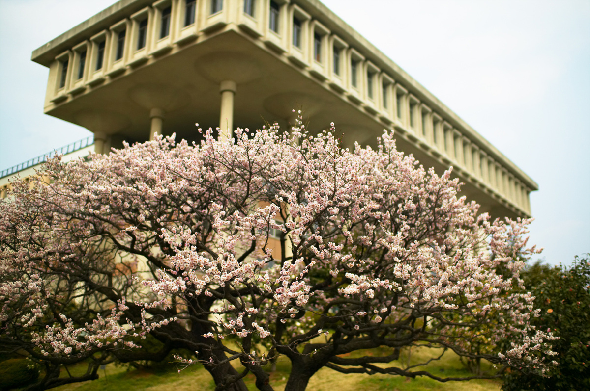 2008 캠퍼스의 봄(넷) 대표이미지