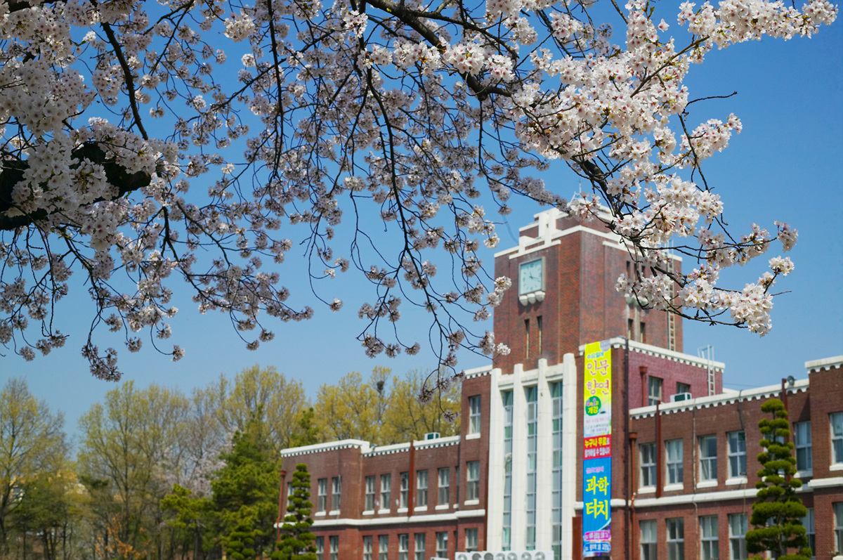 2008 캠퍼스의 봄(셋) 대표이미지