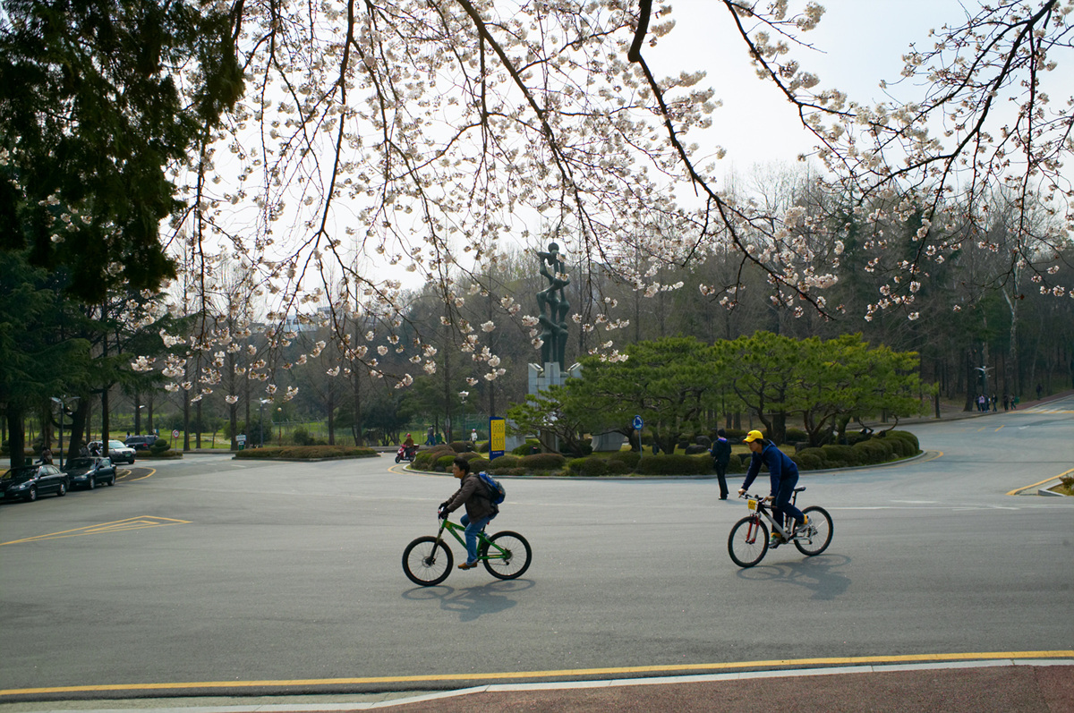 2008 캠퍼스의 봄(둘) 대표이미지