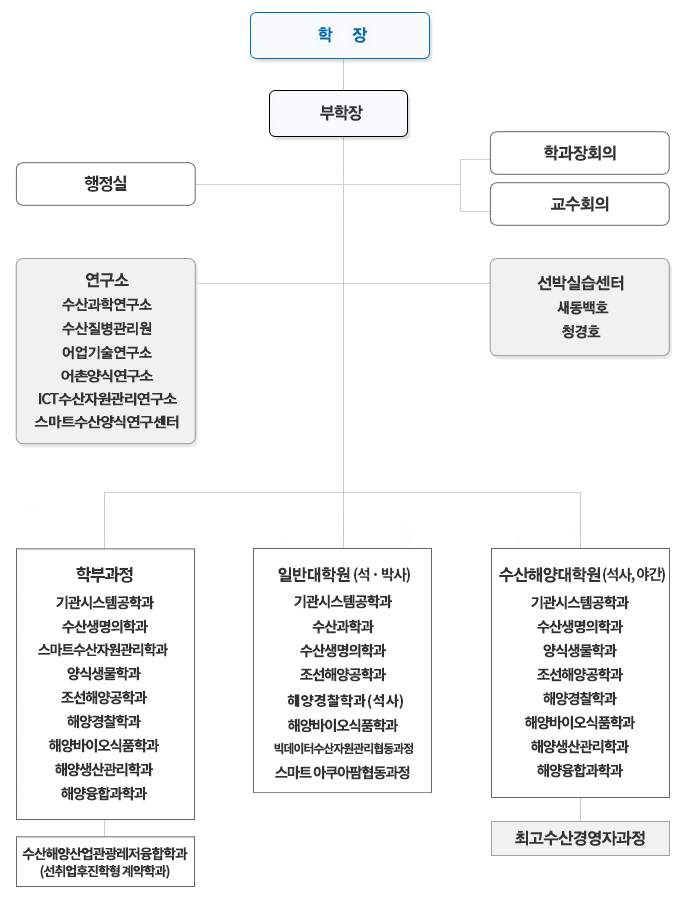 조직도